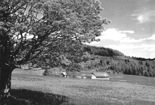 Six générations sur la ferme de James D. Owen Hereford Hill (315, chemin des Côtes)