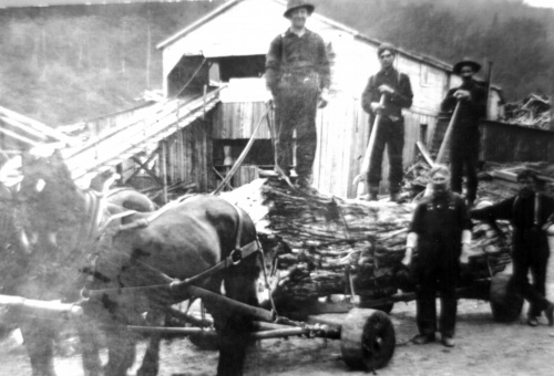 Moulin à scie de Désiré Thibeault vers 1900 (aux environs du 581, chemin de Coaticook)