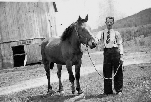 Alphonse Bissonnette sur la ferme familiale du 18, chemin Grégoire