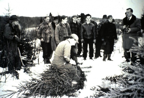 Philias Chaloux et la taille des sapins East Hereford