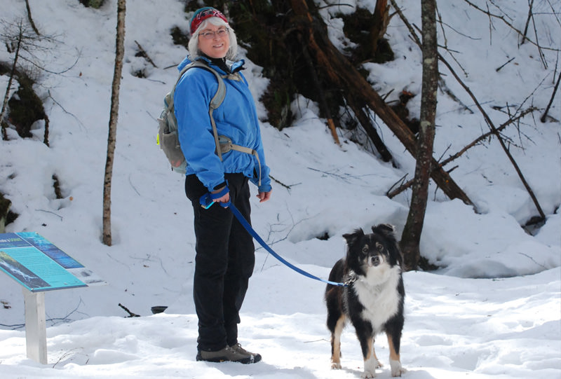 Chiens en laisse acceptés