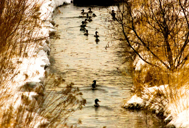 Ponts et  cours d’eau