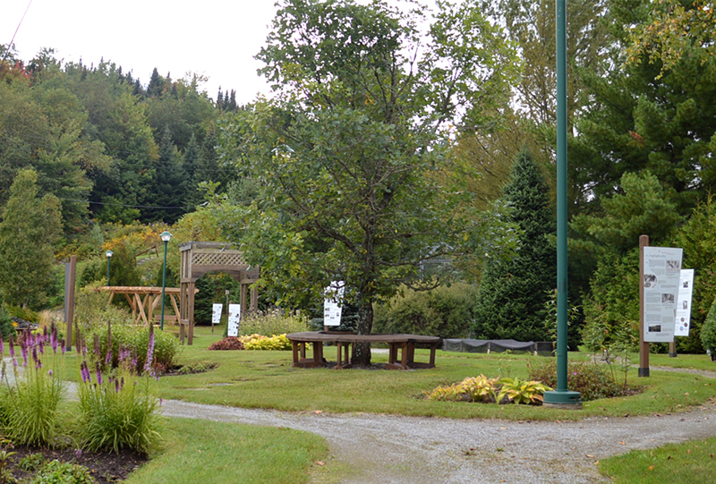 Jardin Sapins et Merveilles