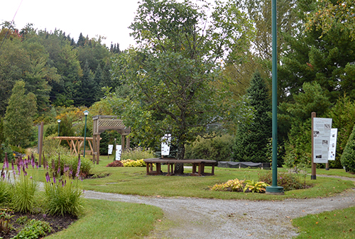 Jardin Sapins et Merveilles